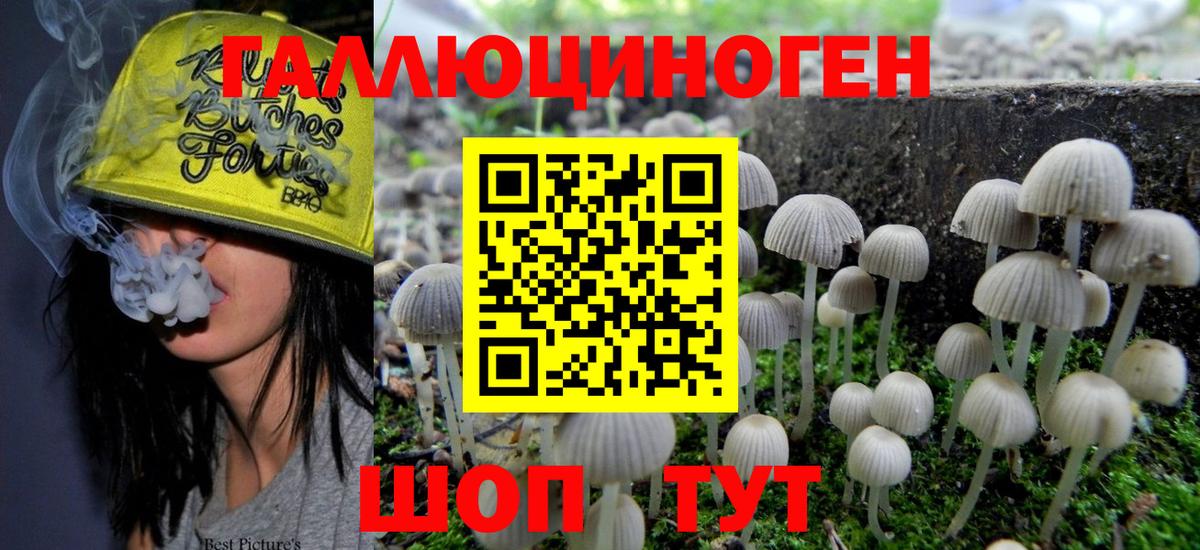 Лесосибирск  Галлюциногенные грибы Psilocybine cubensis  магазин  наркотиков  Вход с VPN 